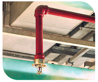 Fire Sprinkler System